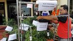 Berkebun Ganja di Apartemen, Derrick Dibekuk Polisi