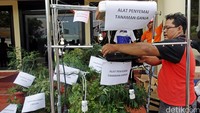 Polisi menujukkan alat penyemai tanaman ganja.
