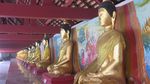 Wow! Ada Patung Buddha Lapis Emas di Selatan Thailand