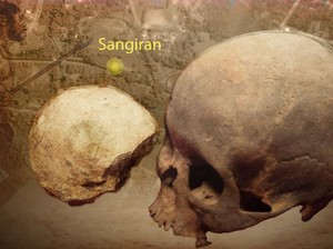 Saat Manusia Modern dan Manusia Purba Dipertemukan di Sangiran