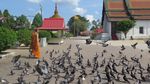 Wow! Ada Patung Buddha Lapis Emas di Selatan Thailand