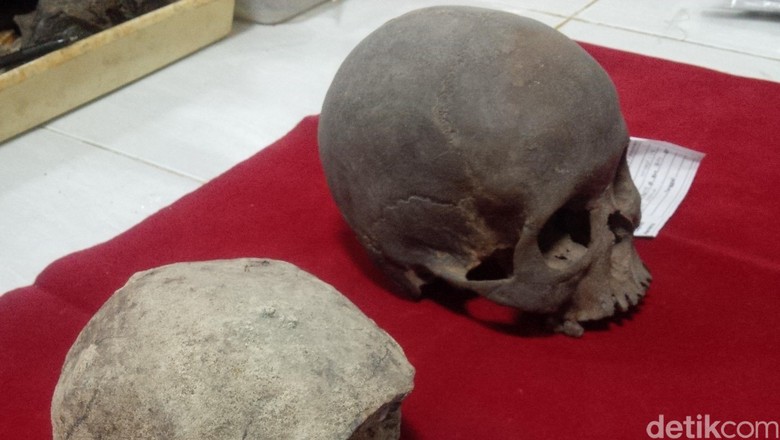 Temuan Penting Fosil Manusia Purba Tertua dari Sangiran Temuan Penting Fosil Manusia Purba Tertua dari Sangiran