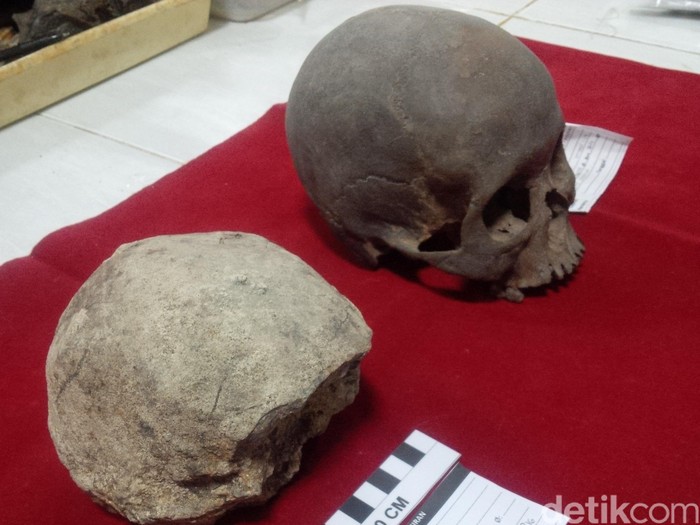 Temuan Homo Erectus Arkaik di Sangiran