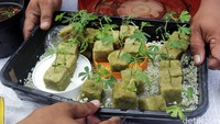 Polisi menunjukkan bibit ganja.