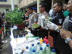 Berkebun Ganja di Apartemen di Pluit dengan UV, Derrick Terancam Bui Seumur Hidup