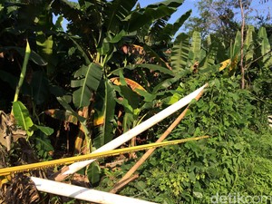 Warga: 5 WN China Sudah 1,5 Bulan Kerjakan Proyek di Lahan TNI AU