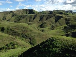 Liburan Ala Pendekar Tongkat Emas di Sumba