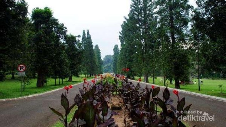 Rekomendasi 6 Tempat Wisata Asyik Di Bogor Rekomendasi 6 Tempat Wisata Asyik Di Bogor