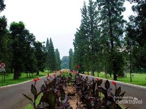 Rekomendasi 6 Tempat Wisata Asyik di Bogor