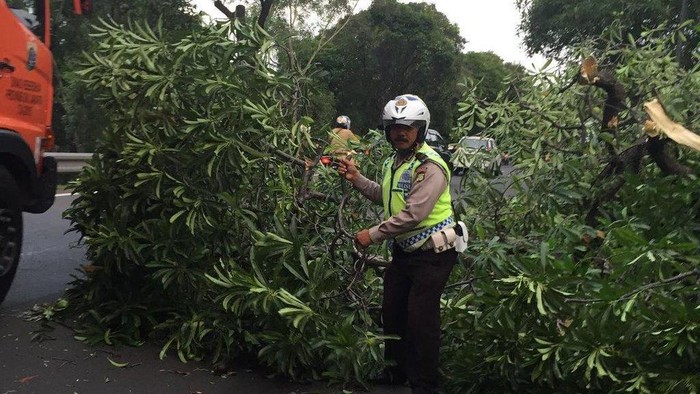 Ada Pohon Tumbang Lalin Exit Tol  Halim  Arah Cawang Padat