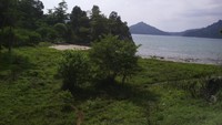 Tiba di Teluk Jantang yang terletak di antara dua bukit, pengunjung akan dimanjakan dengan keindahan lautan dan pemandangan alam di sekitarnya. Hijaunya rumput dan banyaknya pohon kelapa yang ditumbuh di sana menjadi daya tarik (Agus Setyadi/detikTravel)