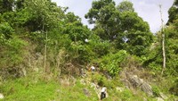 Untuk menuju Teluk Jantang terdapat ada dua jalur alternatif yang dapat dipilih. Pertama, melewati sebuah tebing atau bukit dengan berjalan kaki sekitar 5 menit. Traveler disarankan untuk berhati-hati saat melewatinya (Agus Setyadi/detikTravel)
