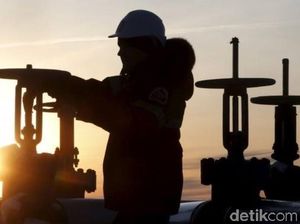Beda Nasib Pertamina dan 2 Raksasa Migas Dunia Kala Pandemi