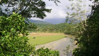 Traveler yang berkunjung ke sana rata-rata hanya ingin mengabadikan keindahan dari atas tebing. Mereka naik ke sana untuk memotret laut dengan latar pegunungan dan pepohonan cemara yang tumbuh di Pasi Pante Blang Raya (Agus Setyadi/detikTravel)