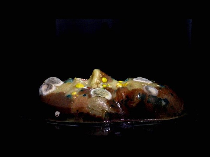 Seniman Melissa Fisher Bikin Karya Rupa dari Bakteri Wajah