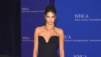 Kendall Jenner. Larry Busacca/Getty Images/detikFoto.