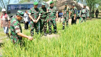 Aster Panglima TNI Cek Program Cetak Sawah