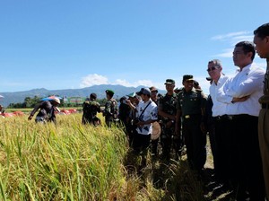 Tripartit Tata Kelola Air Irigasi Menuju Swasembada Pangan Nasional