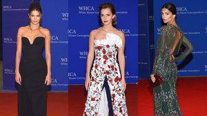 Deretan Aktris dan Model Cantik di Gedung Putih, Siapa Paling Menawan?