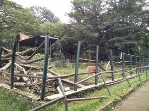 Kondisi Kebun Binatang Bandung Saat Ini, Banyak Kandang Rusak dan Kotor