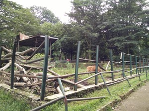 Kondisi Kebun Binatang Bandung Saat Ini, Banyak Kandang Rusak dan Kotor