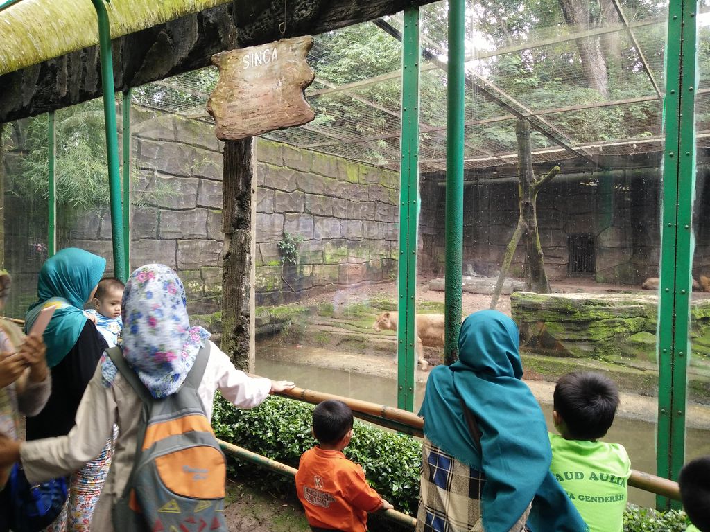 Kondisi Kebun Binatang Bandung Saat Ini Banyak Kandang Rusak Dan Kotor