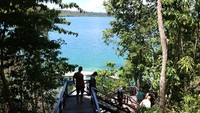 Kerajaan ubur-ubur paling terkenal di Indonesia adalah di Pulau Kakaban, Derawan, Kalimantan Timur (Afif/detikTravel)