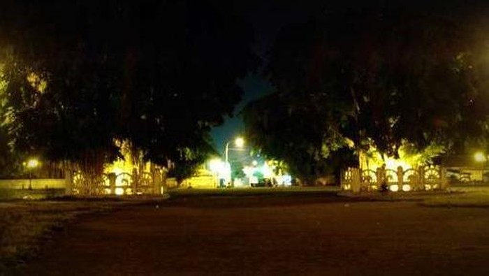 Pohon beringin kembar di Alun-alun Kidul