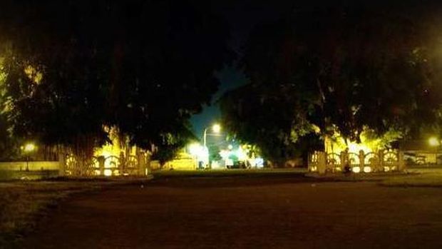 Pohon beringin kembar di Alun-alun Kidul