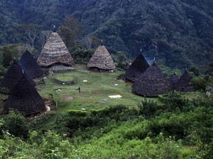 Liburan Panjang, Ayo Bertualang ke Desa Wae Rebo di Flores
