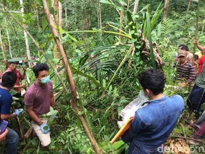 Cerita Sang Ayah Saat Anaknya Tak Pulang dan Ternyata Diperkosa