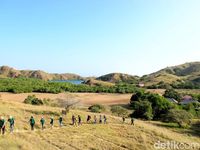 Wisatawan menjelajahi Pulau Rinca di TN Komodo (Faela Shafa/detikTravel)