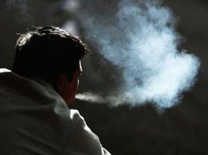 5 Tanaman yang Bisa Serap Asap Rokok