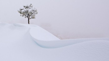 Usai badai salu di Bryce Canyon National Park karya Yvonne Baur. Foto: National Geographic
