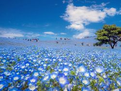 Deretan Foto Memukau NatGeo Travel 2016