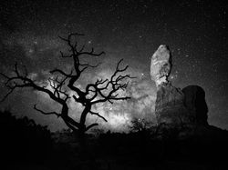 Deretan Foto Memukau NatGeo Travel 2016