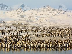 Deretan Foto Memukau NatGeo Travel 2016