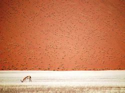 Deretan Foto Memukau NatGeo Travel 2016