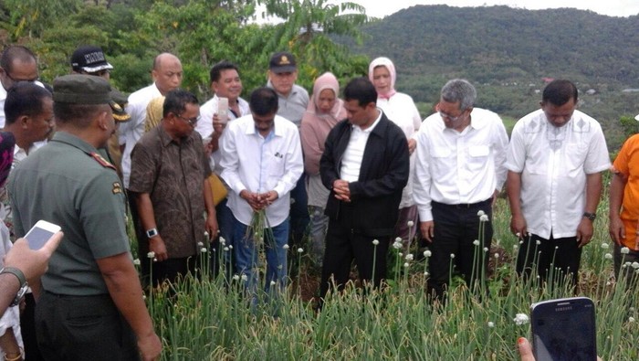 Mentan  Panen Bawang  di Lahan Baru Saat Libur