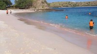 Pink Beach di Pulau Komodo juga jadi sasaran bagi wisatawan untuk memasukan pasir pantainya ke botol dan dibawa pulang. Stop ambil pasir pantai! (Faela Shafa/detikTravel)