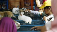 Deputi Gubernur DKI Jakarta Bidang Kebudayaan dan Pariwisata, Sylviana Murni berharap dengan adanya pameran ini, warga Jakarta turut terlibat menghijaukan rumahnya dengan tanaman-tanaman hias maupun produktif.