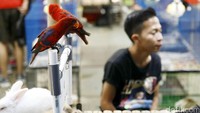 Pameran akan berlangsung hingga 29 Mei 2016 mendatang.