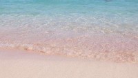 Pink Beach memiliki pasir pantai unik yang berwarna pink. Menurut pengakuan guide di Pulau Komodo, warna pink pasirnya di sebelah barat pantainya sudah tidak se-pink dulu lagi. Bisa jadi, akibat sering diambil wisatawan sejak dulu (Faela Shafa/detikTravel)