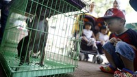 Kini pameran Flora dan Fauna Indonesia (Florina) 2016 sepenuhnya diselenggarakan pihak swasta setelah sebelumnya menjadi agenda tahunan Dinas Pertamanan dan Pemakaman DKI Jakarta.