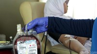 Mereka melakukan kegiatan donor darah.