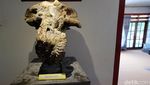 Wisata Migas di Bojonegoro