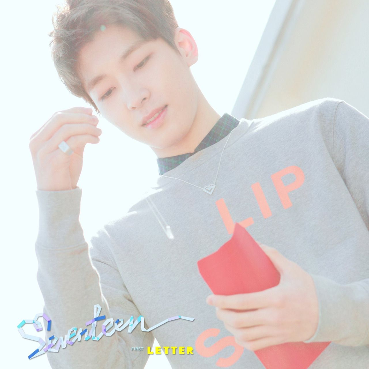 Wonwoo 'Seventeen'