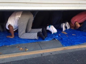 Digagas, Pendirian Masjid Raya di Kota Melbourne