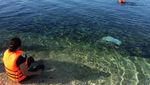 Pesona Pulau Babua dan Pasitufiri di Halmahera Barat