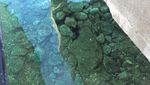 Pesona Pulau Babua dan Pasitufiri di Halmahera Barat